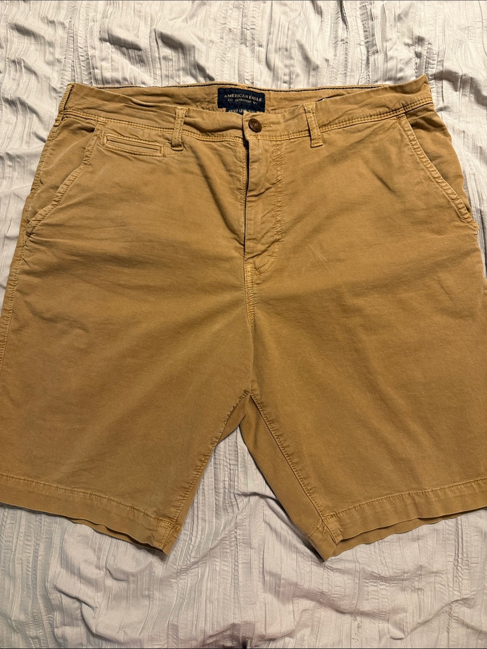 American Eagle Outfitters Men's Tan Flat Front Shorts